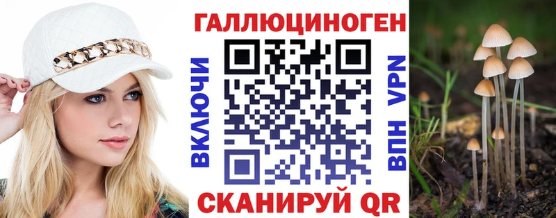 Галлюциногенные грибы GOLDEN TEACHER  Купить  Горно-Алтайск 
